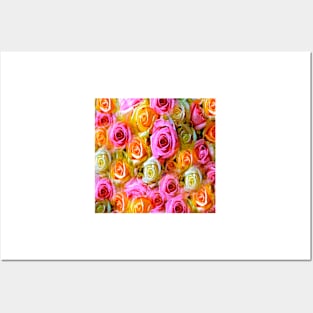 Spring Roses Posters and Art